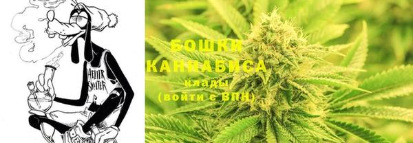 ГАЛЛЮЦИНОГЕННЫЕ ГРИБЫ Новокубанск